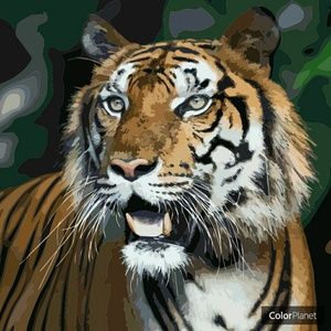 Meet your Posher, Chalice